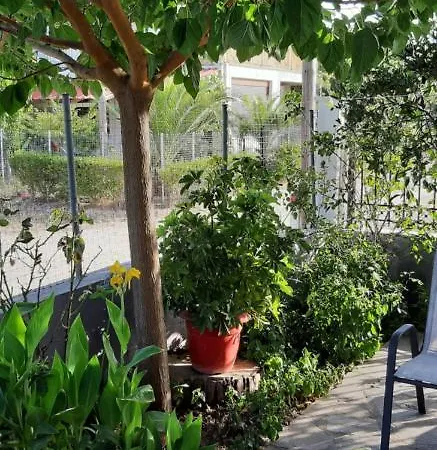 Maistrali Pefki (Evia)